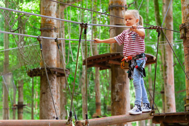 Child balancing on a log at a treetop adventure course