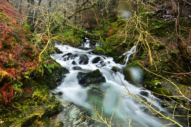 Stock Ghyll Force in Ambleside