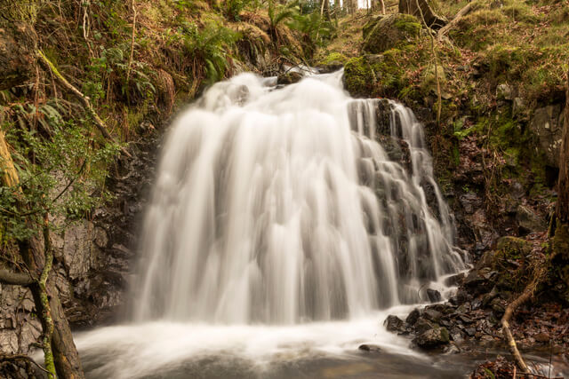 Tom Gill Waterfalls in Tarn Hows