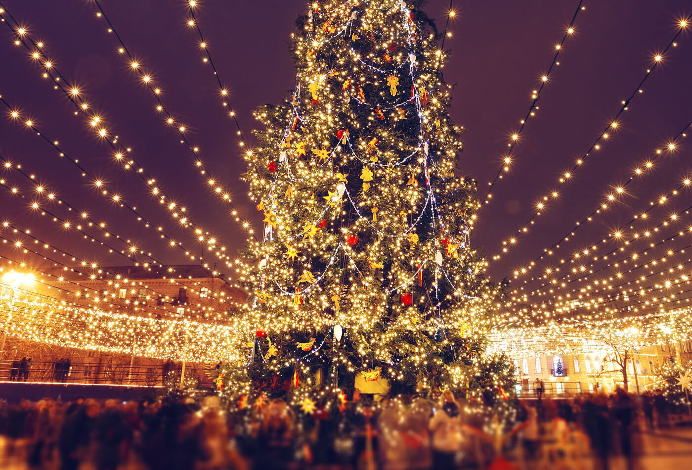 An illuminated Christmas tree and lights at a Christmas market