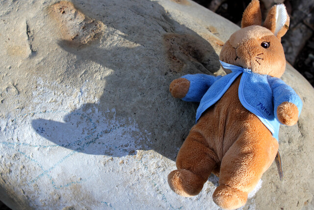 A Peter Rabbit stuffed toy on a rock