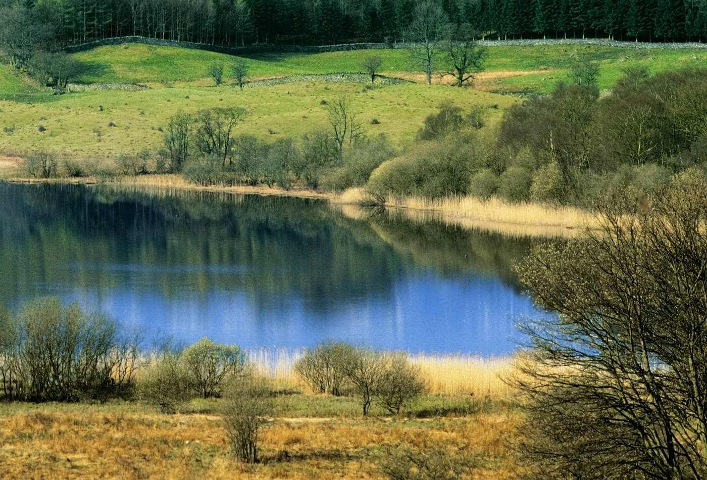 A landscape view of a lake and hills in the Lake District