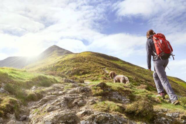 Dog walks in the Lake District - Hiker walking with her dog up a mountain.