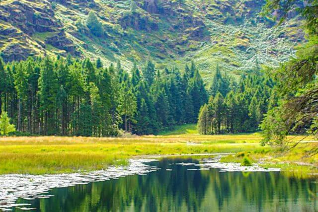 Dog walks in the Lake District - Lake District scenery.