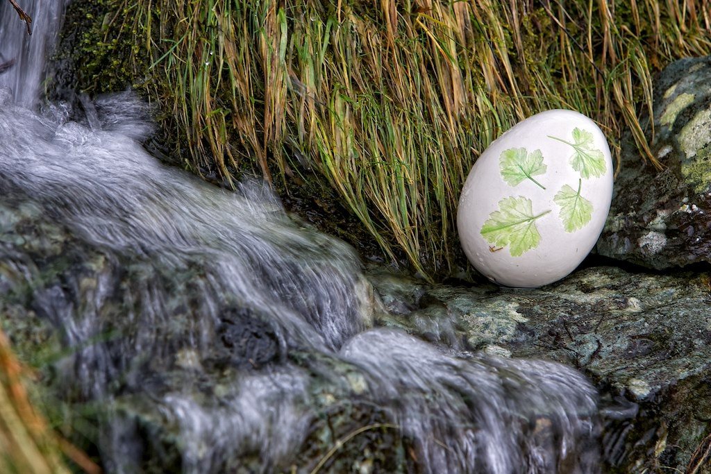 Peter Rabbit Easter Egg Hunt