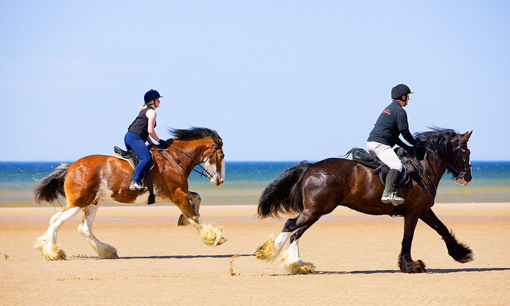 Horse Riding in the Lake District