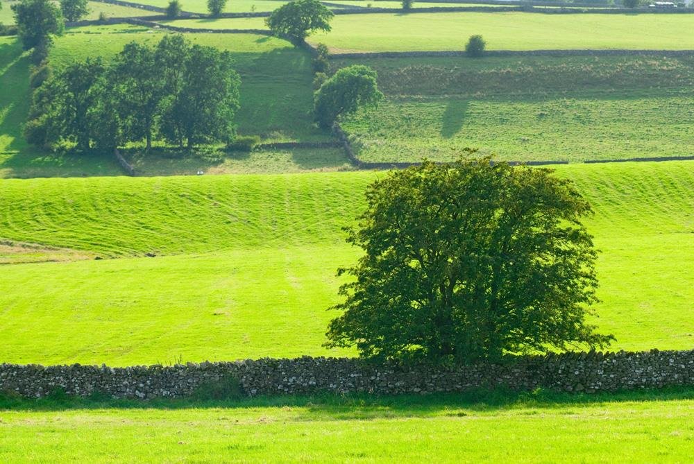 Views of Hawkshead