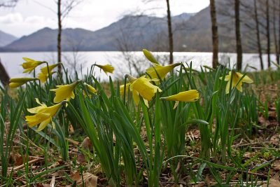 Luxury Lake District holidays in Grasmere