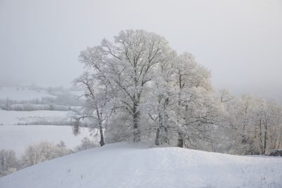 What to do in the Lake District in winter