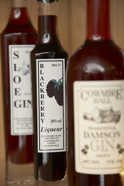 Visit Lyth Valley for Damson Gin 
