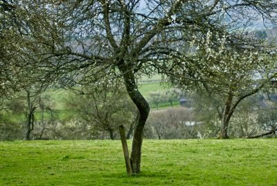 self-catering in Cumbria