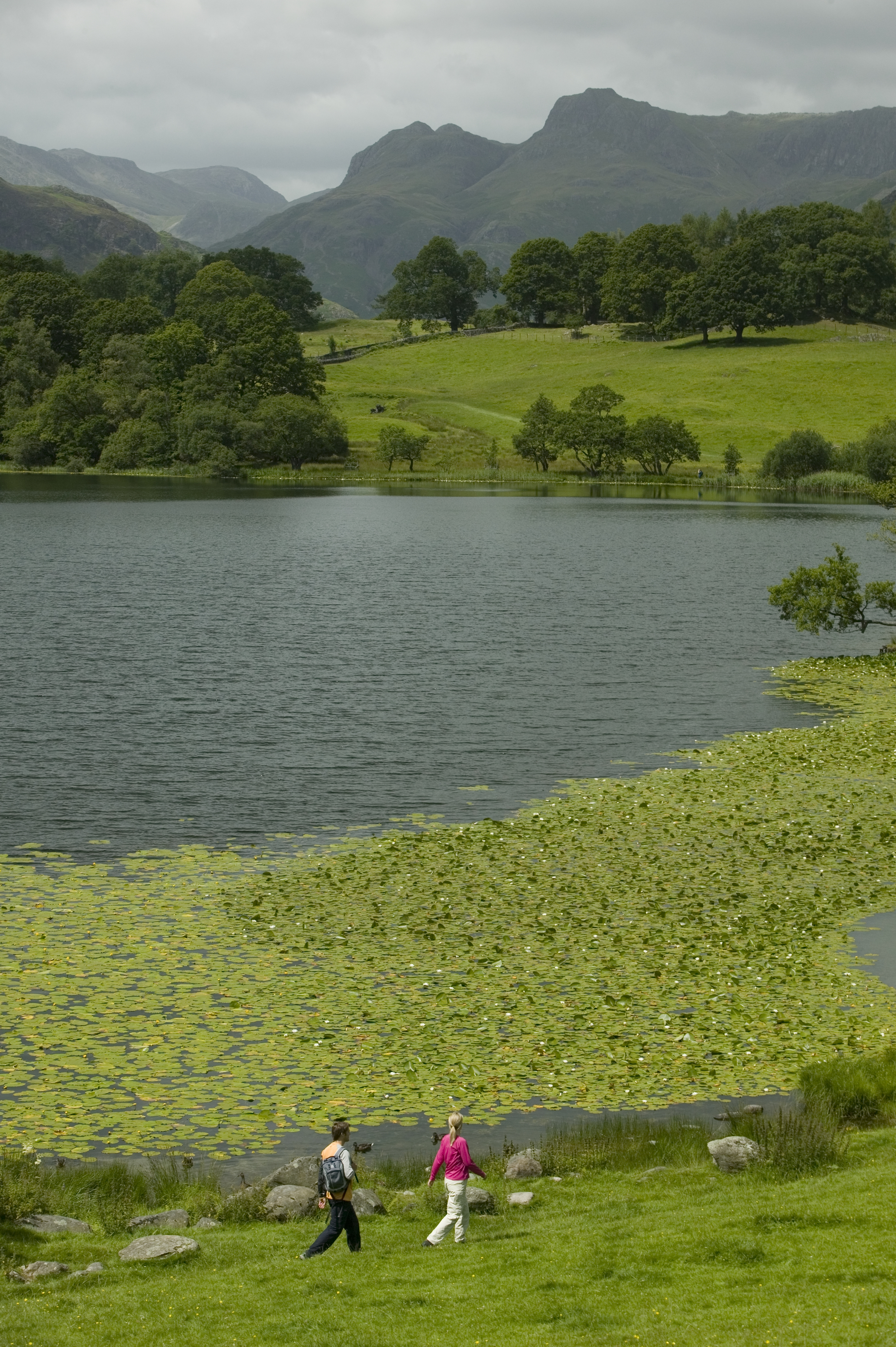 Loughrigg Tarn