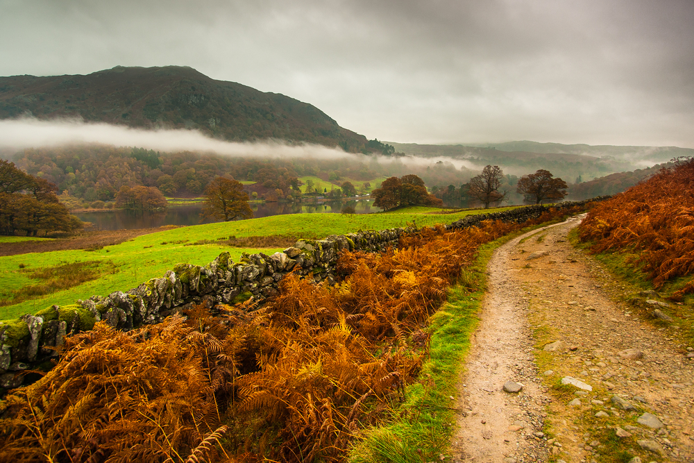 Autumn,At,Rydal,Water,(lake),In,Lake,District,,Cumbria,,Uk.