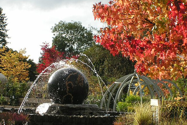 Trees in Autumn at Hayes Garden World