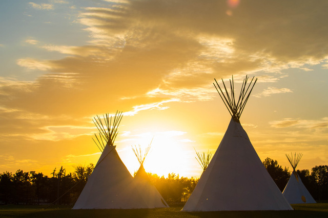 Tipis in a field at sunset