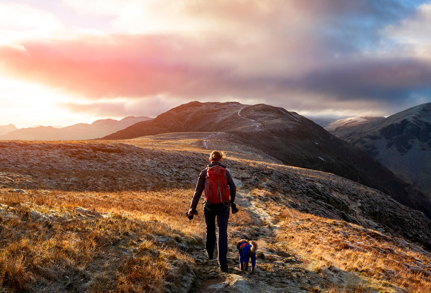 A hiker and their dog hiking in the mountains of the Lake District