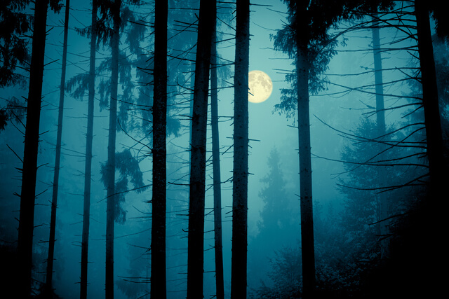 Full moon hiding peeking through the trees at night