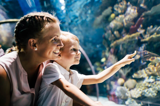 Mother and son watching marine life in a tunnel at an aquarium