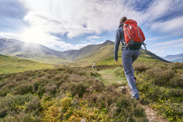 A climber and their pet dog walking towards a series of mountains in the distance