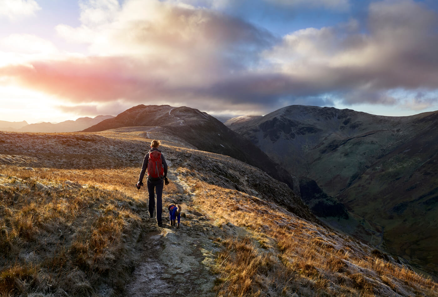 A hiker and their dog following a stone trail through the Lake District mountains