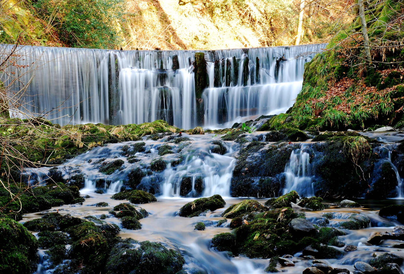 A series of small waterfalls flowing downstream at Stanley Ghyll Force