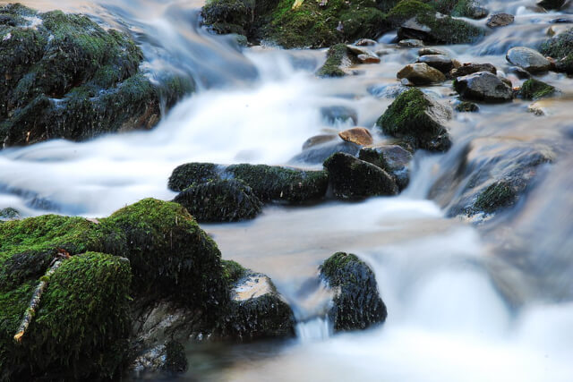 Cloudy water on mossy rocks at stanley ghyll waterfall
