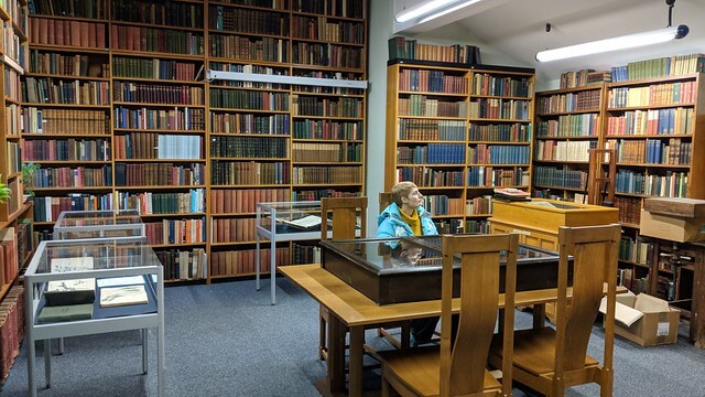 Woman looking at collections in Armitt Museum