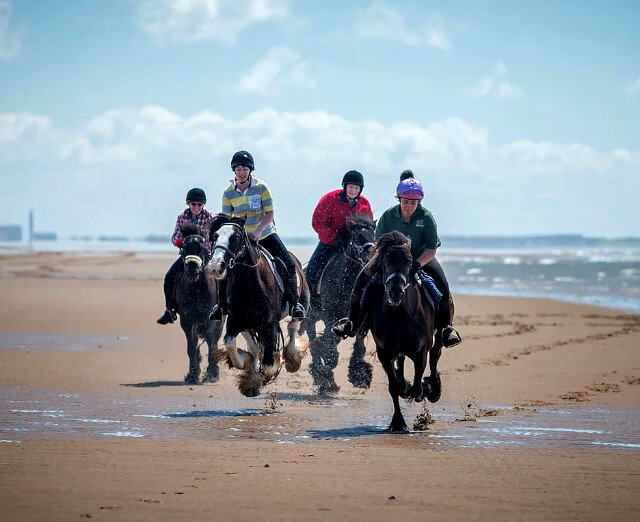 Murthwaite Green Beach Riding