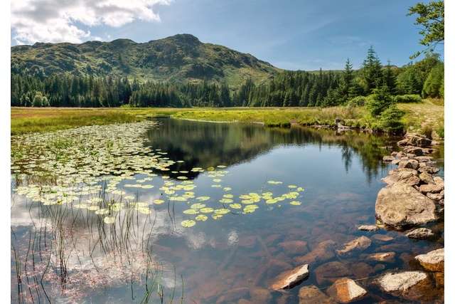 Rocky shallows of Harrop Tarn bordered by greenery.