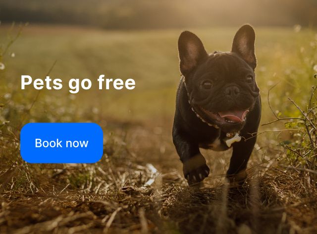 Pets go free offer banner.