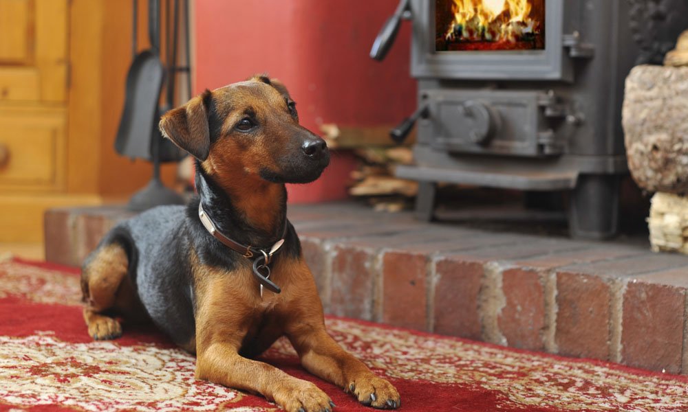 Dog Friendly Cottages Lake District Pets Stay Free